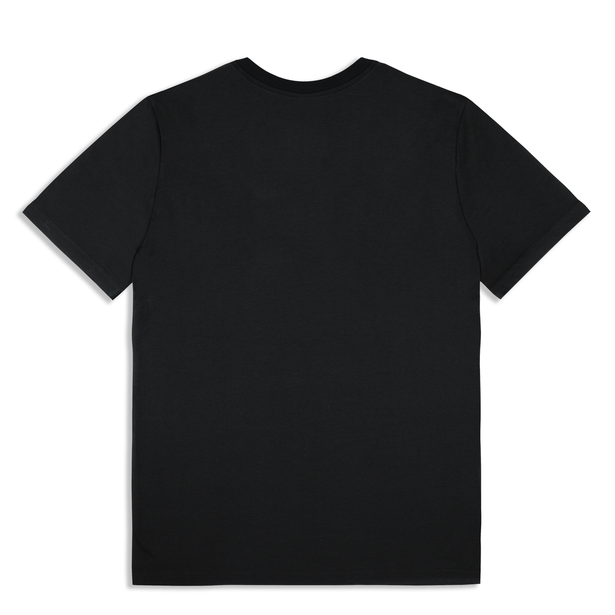 Live '25 Distressed Tour Logo T-Shirt Black