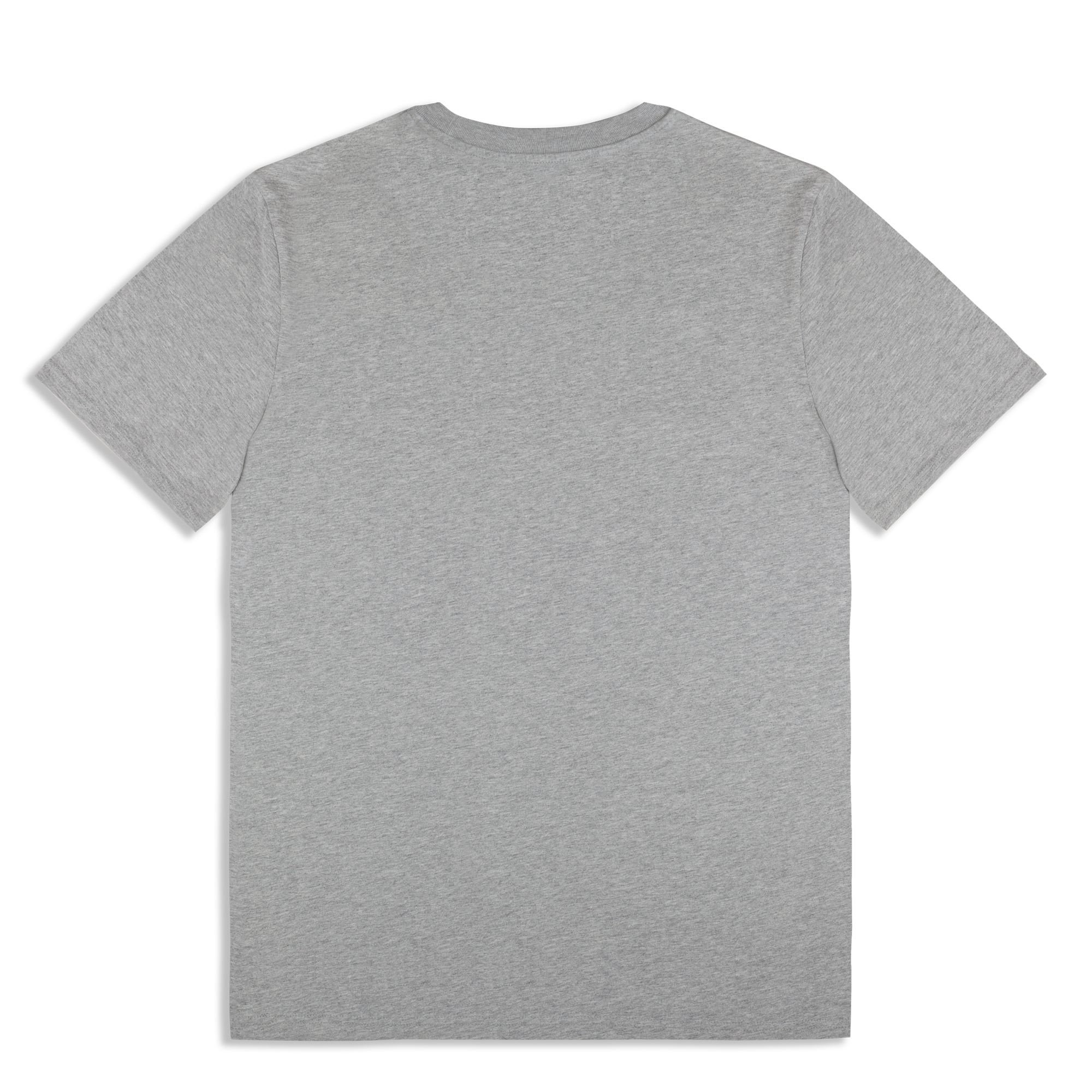 Live '25 Distressed Tour Logo T-Shirt Grey
